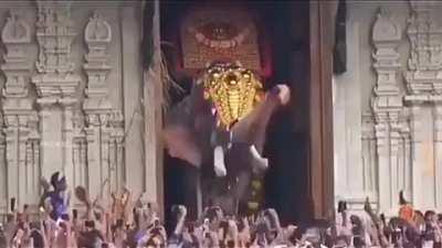 Thechikkottukavu Ramachandran, India's tallest elephant