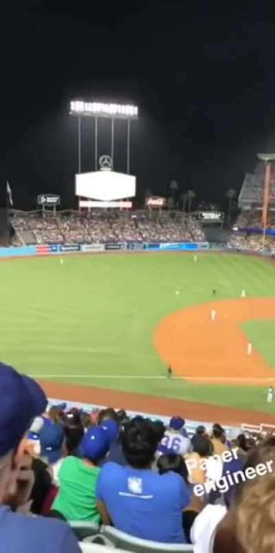 The whole stadium cheered the guy