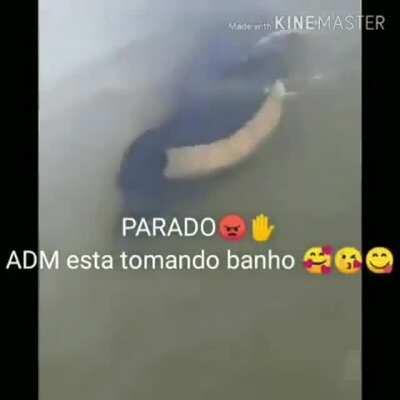 Parados meus querubins, o ADM pode atacar