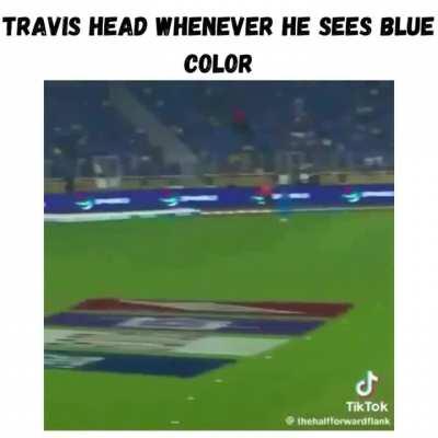 travis has beef with blue