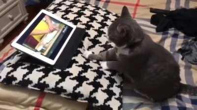 He's been taking online classes.