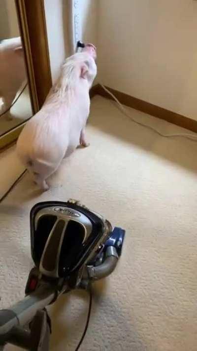 Stop making all that noise human