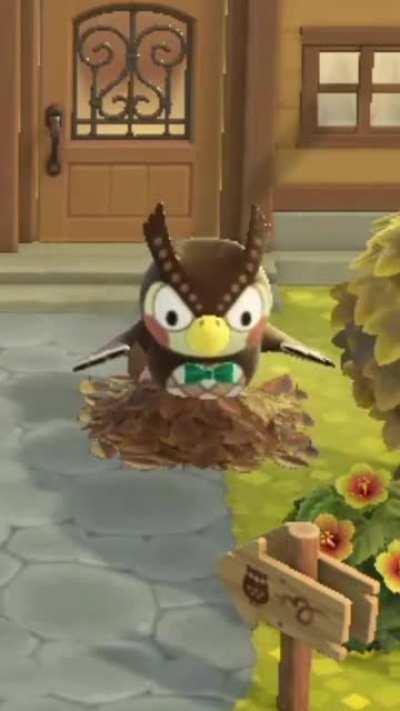 Blathers playing in a leaf pile is giving me my will to live back