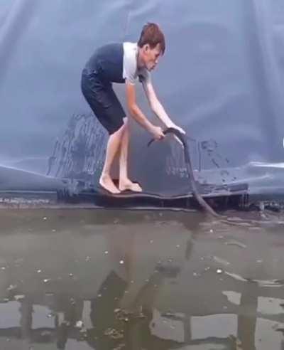 Saw this on r/Unexpected and it made my palms sweat.