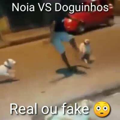 Reporta pô ADM por favor quero ganhar