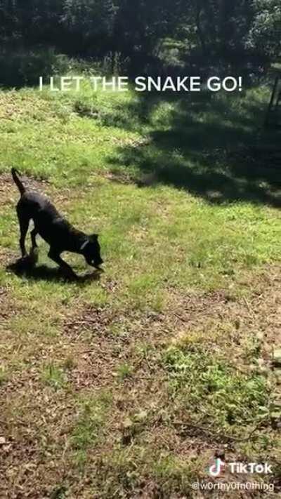 Kid decides playing with sticks does not suffice as entertainment. (Post from u/MichaellZ on r/irrationalmadness)
