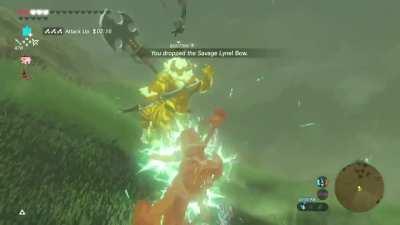 After a thousand hours of gameplay, Lynels are no longer a threat as befor.... Hey! WTF! You can't do that! This is not fair! What's happening! Stop! Stop doing this!! Aaaaaaargh!