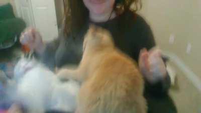 DUDE I WAS PETTING YOU BOTH