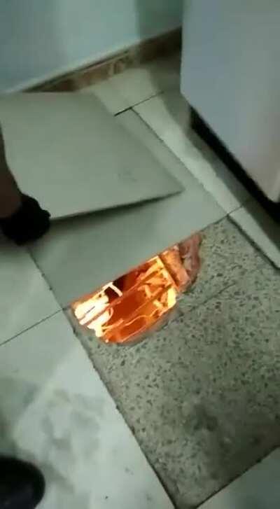 Basement Cannabis farm busted