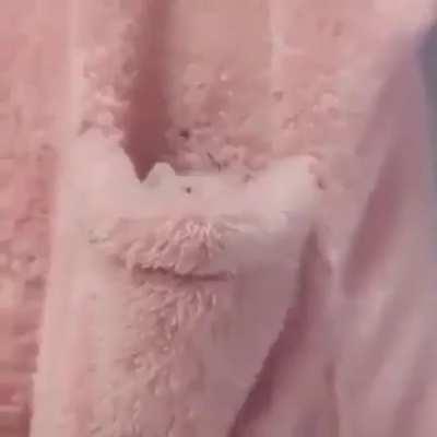 Pocket kitten: on use, anyone who can see the kitten gains a moral boost of 100