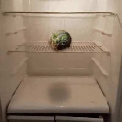 The Gleba experience (oc)