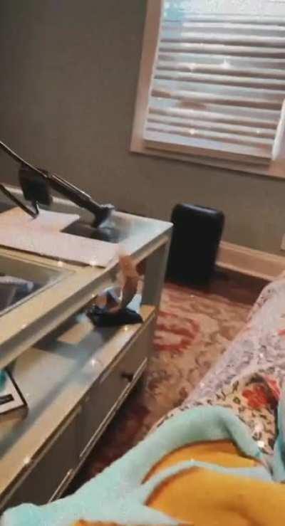 I was trying to take a cute video of us watching tv together and she just-