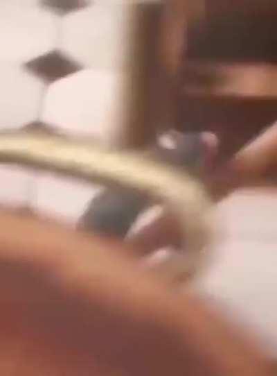 Esse filme é bom ó 👍