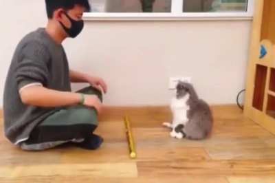 It played its part so well