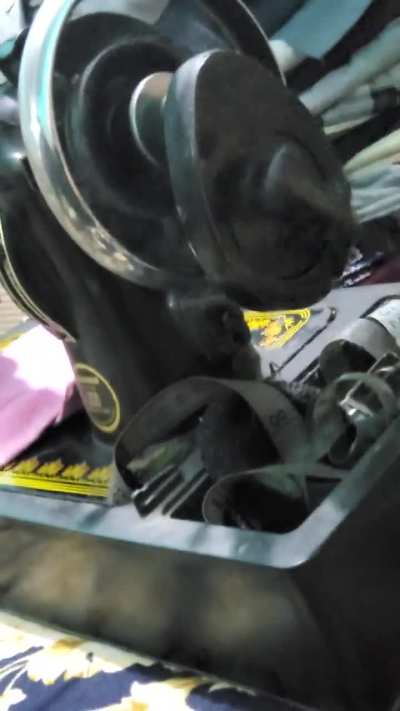 Peak adult fun post neet ( result aa jaye jaldi bc )