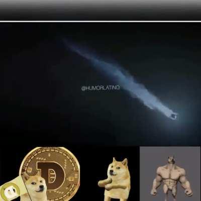 Not long to go... 🐶🚀