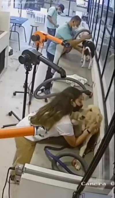 Caught on video, the shocking treatment dogs get at the groomers.