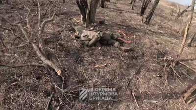 Ukrainian 3rd Assault Brigade attacks Russian positions in Nadiia, Luhansk Oblast. March 2025