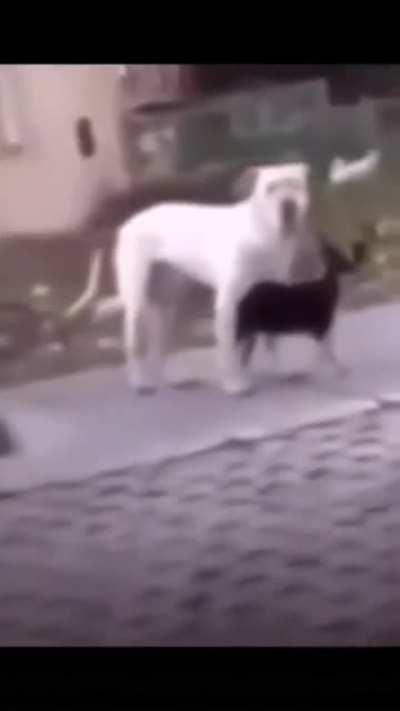 that is not even possible