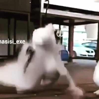 Paloma Truco 👌👌👌