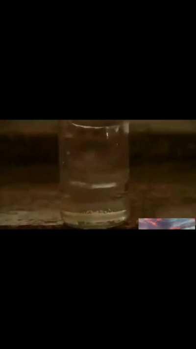 Rotina matinal do acreboy