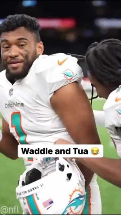 Waddle and Tua celebrating 🐬 ☝