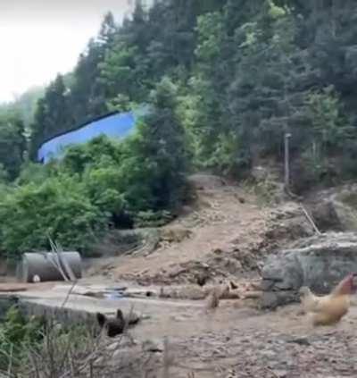 KFC Employee's when Kiara Announce a 3D Stream