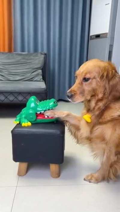 His reaction is so cute