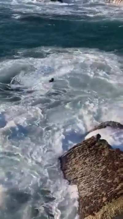 This gave me so much anxiety 😥 I’m glad he’s okay