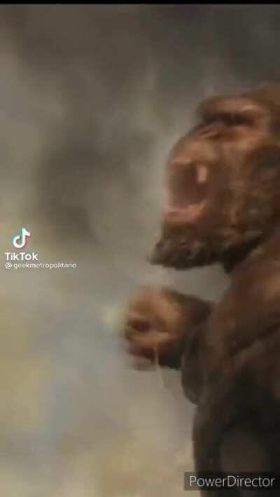 En la mente de godzilla xd