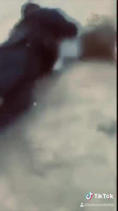 Support Group for tough “Years” Part II