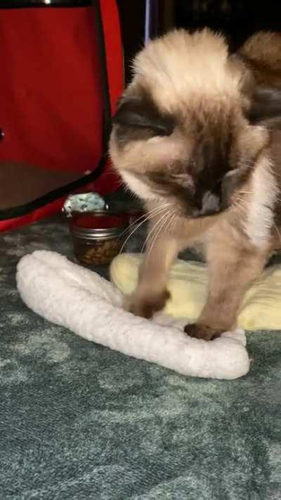 Jack, 18, a Yellmaster