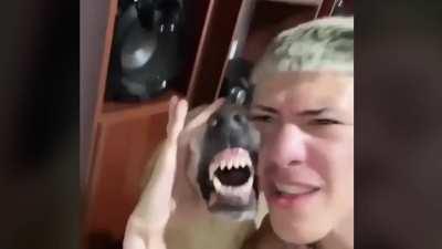 Yank here, when did Lizard Martinez start rapping?