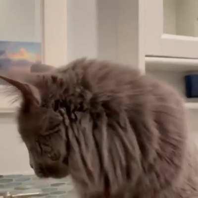 As derpy as they come!