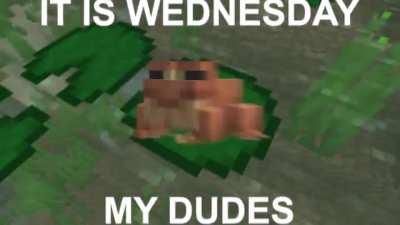 Use this tomorrow because tomorrow is Wednesday (Warning: Strobe)