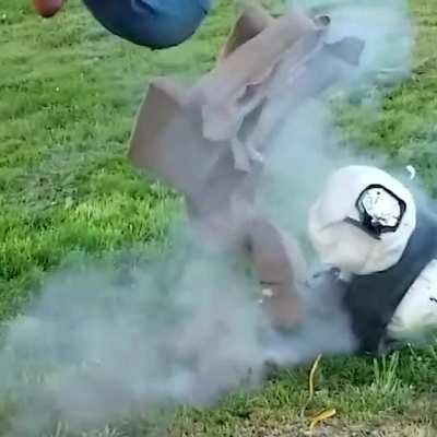 Another Darwin Award Nominee