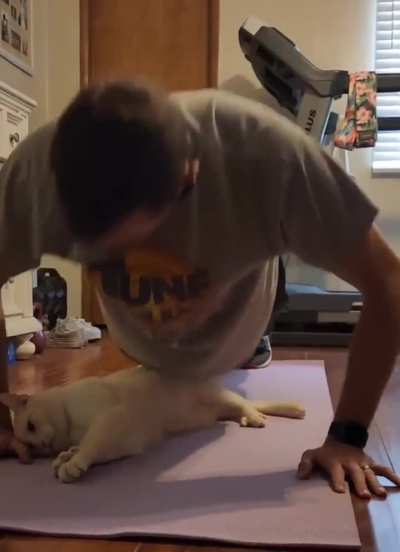 Always have a spotter.
