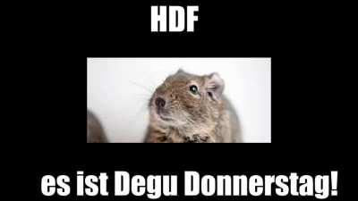 hald dainen fressen.