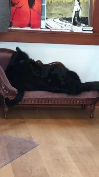 This “real estate dispute” on my cake day