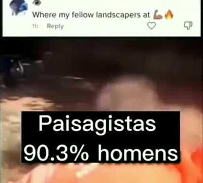 ESTILOZAP - Video #8950