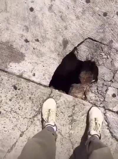 A Secret Entrance has been found in New York City