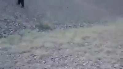 Messing with a camel