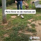 En fin la hipocresía