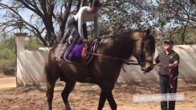 Si nunca habian visto este video entonces nunca le habian dedicado una verdadera puñeta a esta delicia