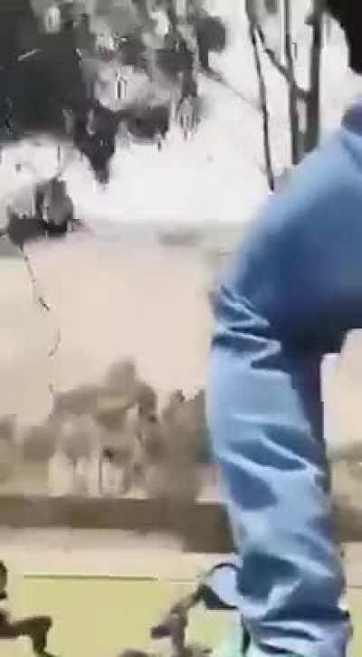 HMFT after I attempt to surf a bike