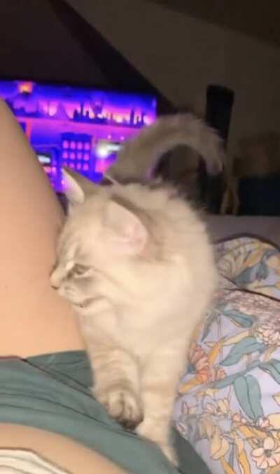 I think we can all relate