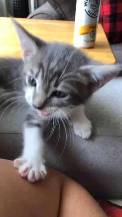 There's more where this came from