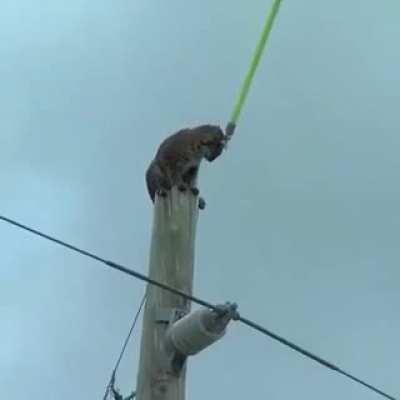 Страшно сглазить, аж до кирпичей