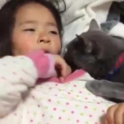 Cat comforting his baby human