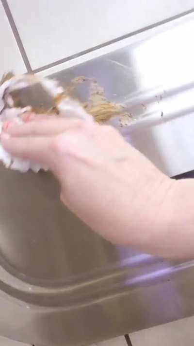 Scat Girls Latest Public Restroom Masterpiece